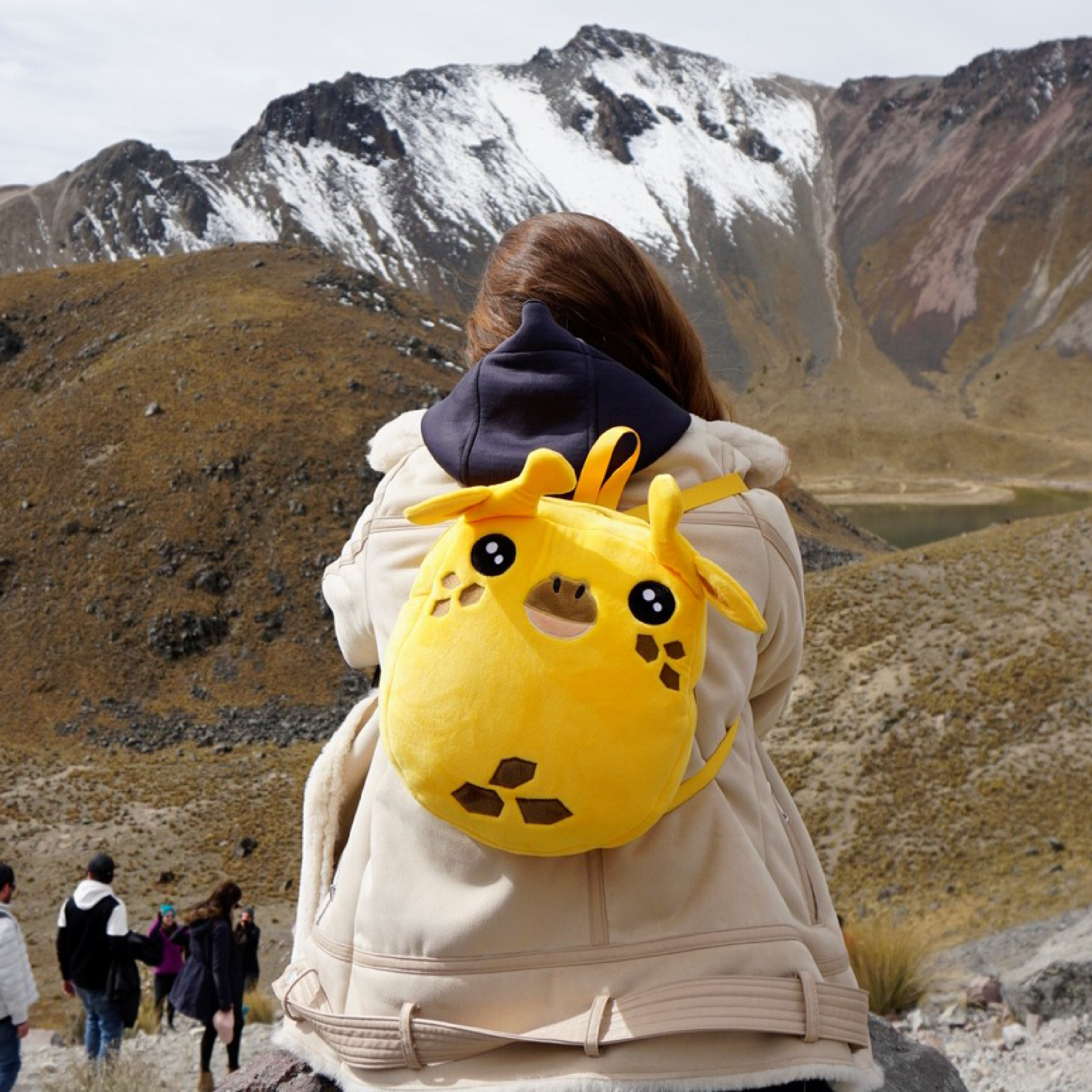 Cojín Mochila de peluche Giffi